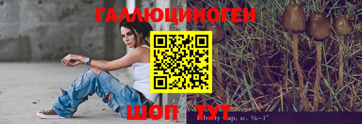 Псилоцибиновые грибы Psilocybe Владимир